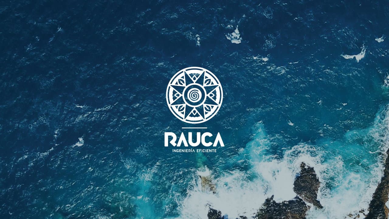RAUCA Ingeniería Eficiente